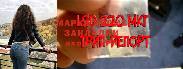 крисы Алзамай