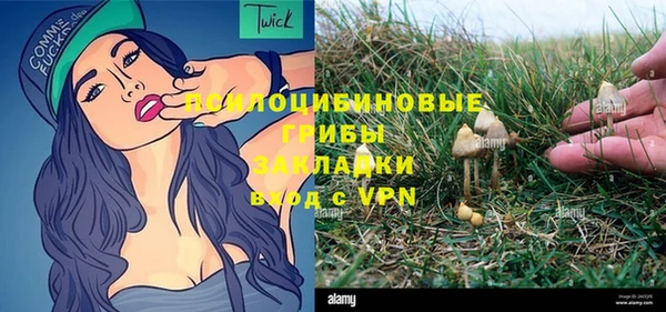 крисы Алзамай
