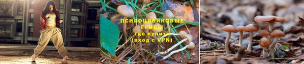 амф Алексеевка