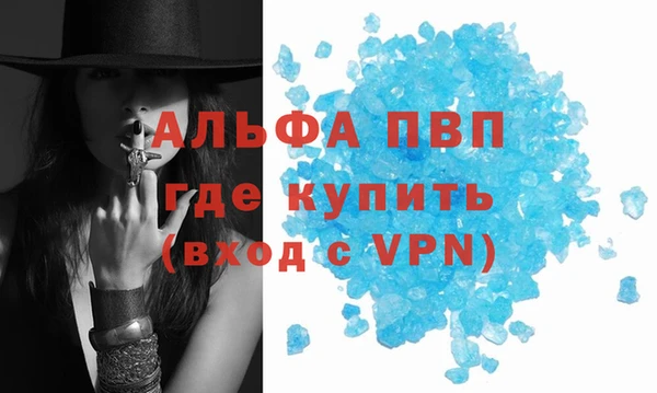 крисы Алзамай
